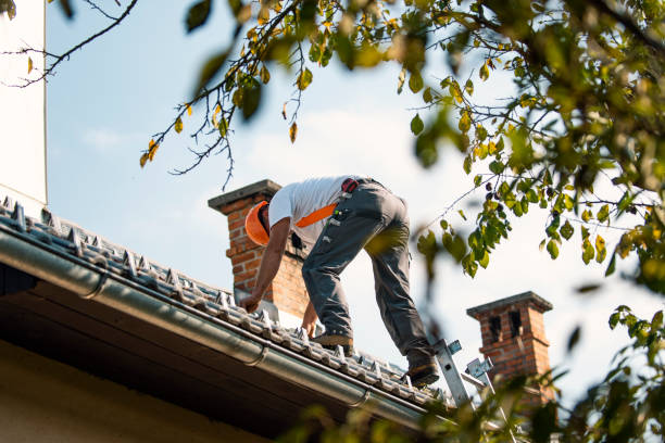 Roof Insulation in Gulf Hills, MS
